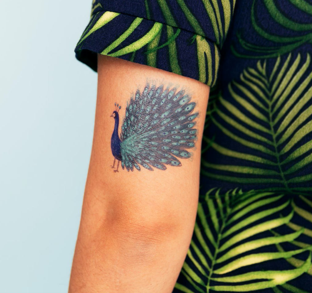Peacock and Feather Temporary Body Tattoo For Men and Women –  Temporarytattoowala