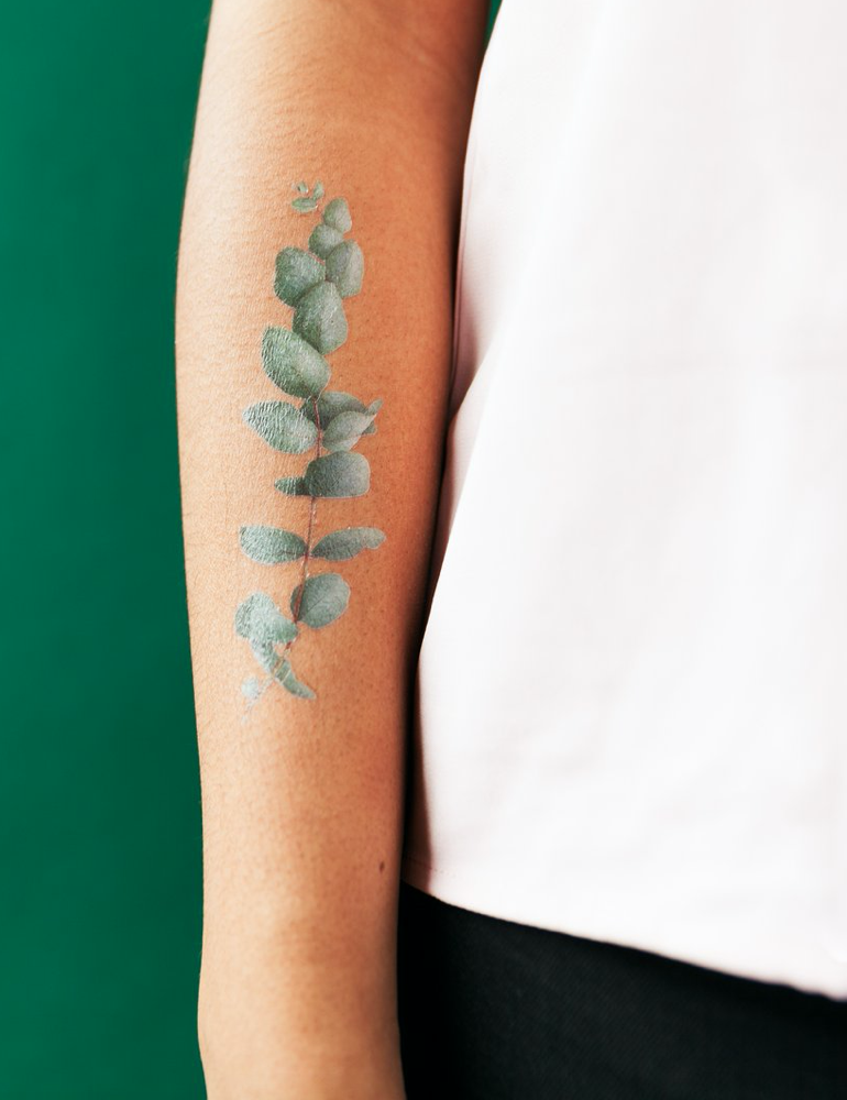 A koala with a kookaburra with eucalyptus leaves and wattle leaves tattoo  idea | TattoosAI