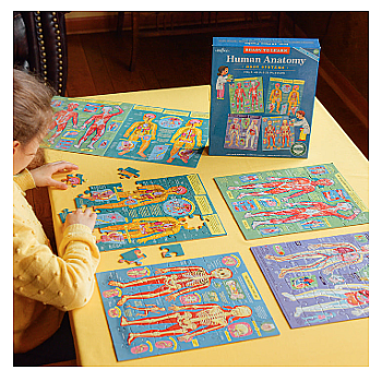 Ready to Learn - Human Anatomy 4-Puzzle 48 Piece Set