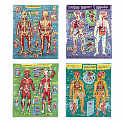 Ready to Learn - Human Anatomy 4-Puzzle 48 Piece Set