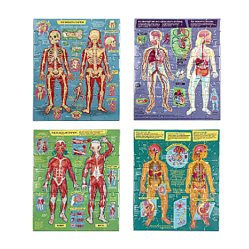 Ready to Learn - Human Anatomy 4-Puzzle 48 Piece Set